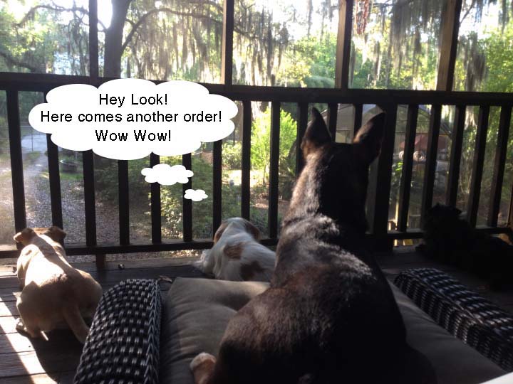 Watching for you order