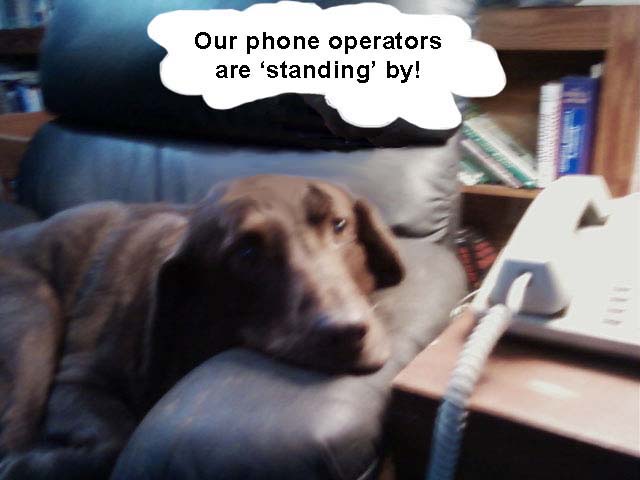 phone operators standing by