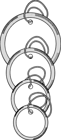 metal rim circle tags